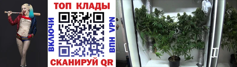 Наркошоп купить КОКАИН  Бошки Шишки  Меф мяу мяу  ГАШ  Яранск