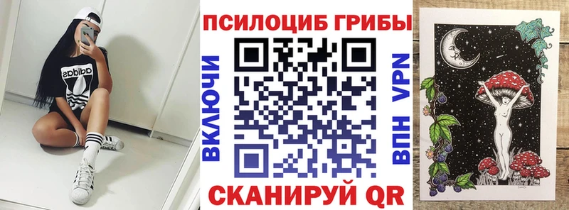 Псилоцибиновые грибы ЛСД  Купить закладки  Яранск 